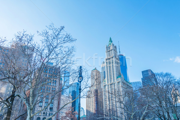 Panoramă centrul orasului Manhattan afaceri birou oraş Imagine de stoc © Elnur