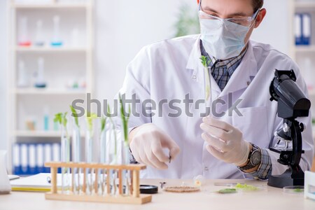 Imagine de stoc: Medic · de · sex · masculin · lucru · laborator · virus · vaccin · om