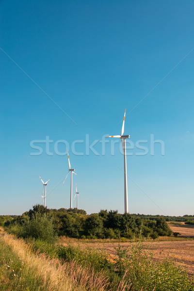 Wind mills during bright summer day Stock photo © Elnur