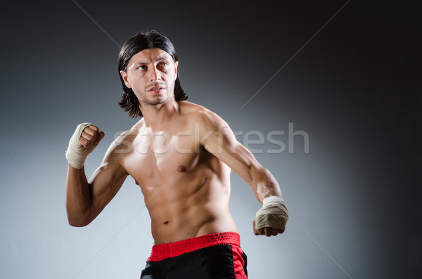 Zdjęcia stock: Sztuki · walki · ekspert · szkolenia · strony · ciało · fitness