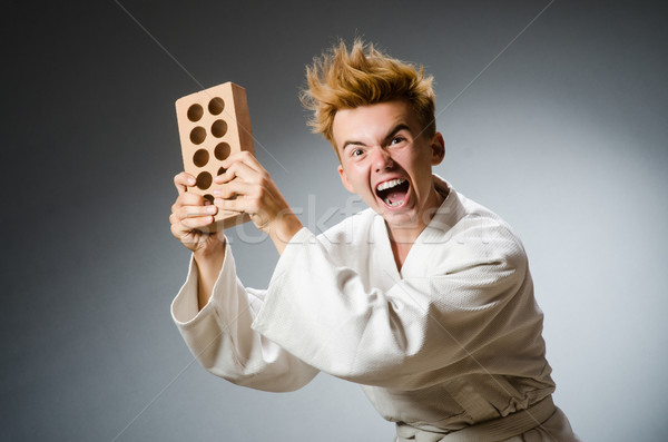 Funny karate fighter with clay brick Stock photo © Elnur