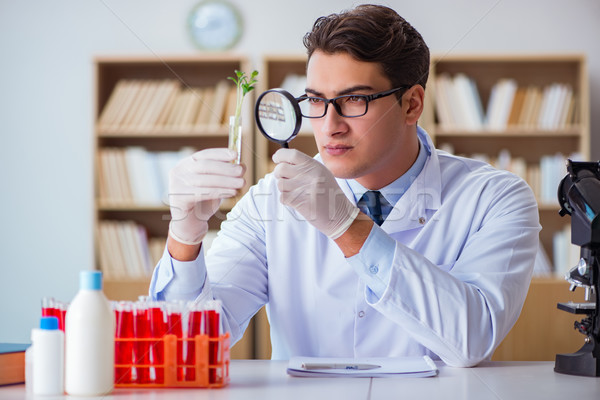 Biotehnologie om de ştiinţă lucru laborator tehnologie sticlă Imagine de stoc © Elnur