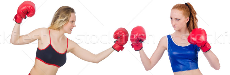 Women are fighting isolated on white Stock photo © Elnur