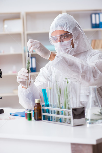Biotechnology scientist chemist working in lab Stock photo © Elnur