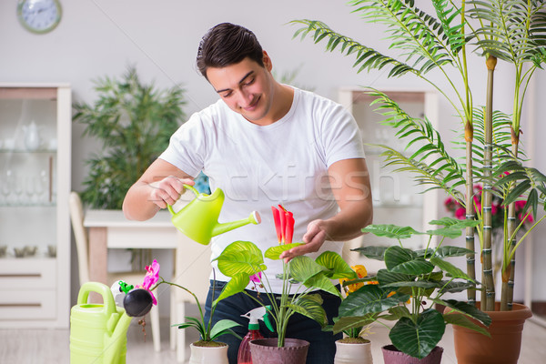 Young man in gardening concept at home Stock photo © Elnur