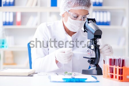 Vrouwelijke wetenschapper onderzoeker experiment laboratorium arts Stockfoto © Elnur