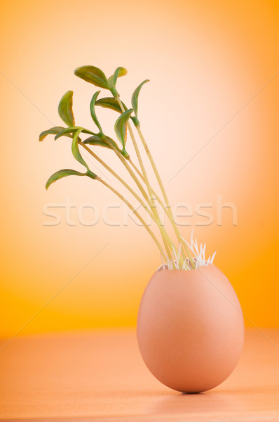 雞蛋 綠色 苗 新生 春天 雞蛋 商業照片 © Elnur