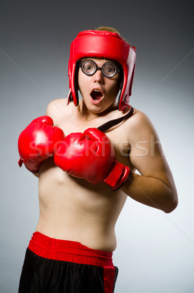 Funny bokser ciemne strony tle polu Zdjęcia stock © Elnur