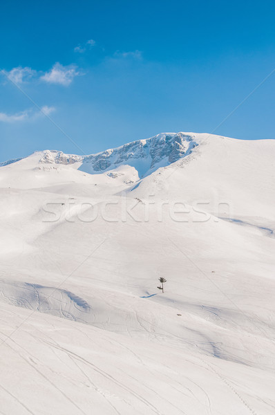 Winter mountains on bright winter day Stock photo © Elnur