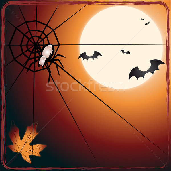 Bat versus spider Stock photo © Elsyann