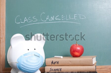 Class cancelled for swine flu Stock photo © elvinstar