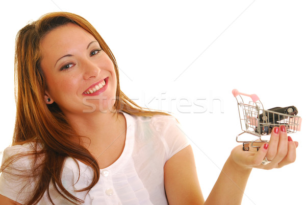 Auto Warenkorb anziehend Frau halten Stock foto © elvinstar