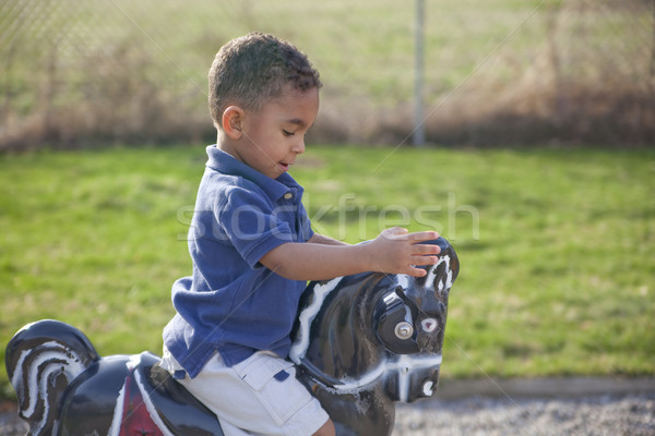 Junge Park cute spielen Pferd spielen Stock foto © elvinstar