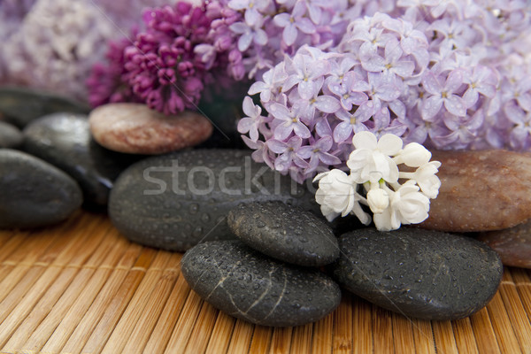 Stockfoto: Spa · rotsen · bloemen · bamboe