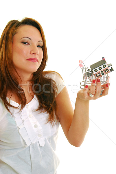 Buying a house Stock photo © elvinstar