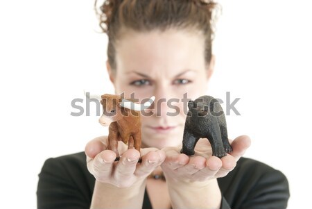 Stockfoto: Beurs · aantrekkelijk · kaukasisch · vrouwelijke · stier