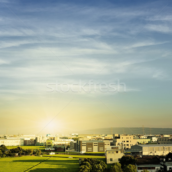 Rural scenery Stock photo © elwynn