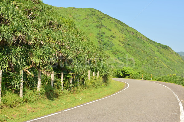 Country road Stock photo © elwynn