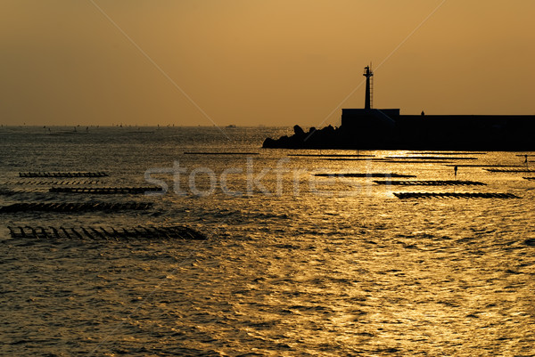 Silhouette of tower Stock photo © elwynn