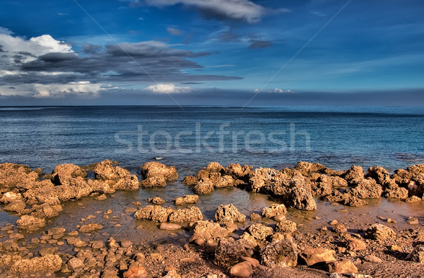 Nature beach of ocean full of rock with blue sky Stock photo © elwynn