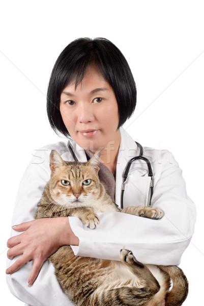 ázsiai állat orvos tart vicces aranyos Stock fotó © elwynn