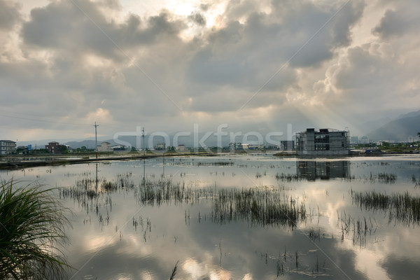 Landscape with a swamp Stock photo © elwynn