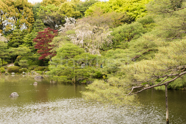 Landschaft japanisch Garten Landschaft Blatt rock Stock foto © elwynn