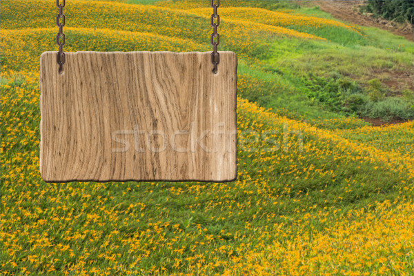 Blank wooden sign Stock photo © elwynn