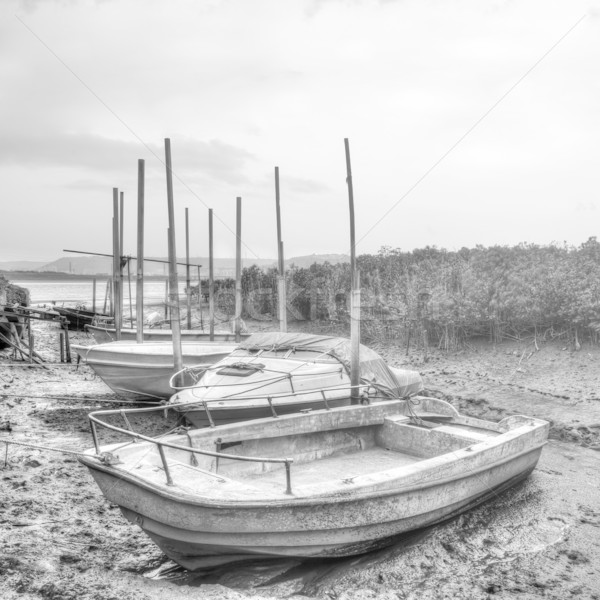 Desolated boats Stock photo © elwynn