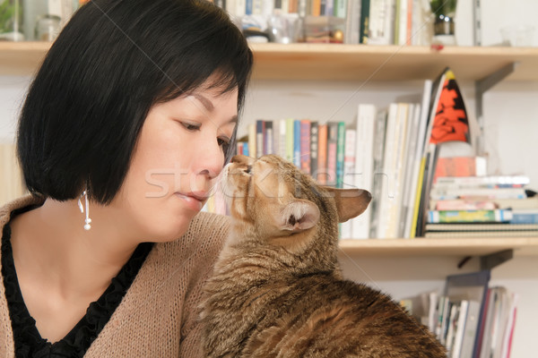 Katze kiss Master Frau Haustier home Stock foto © elwynn