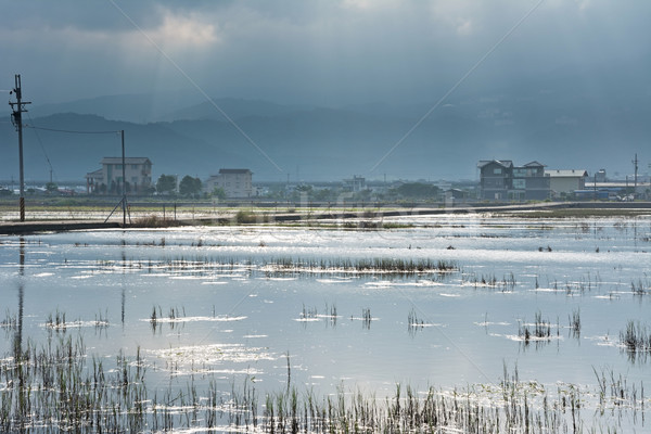 пейзаж болото выстрел Тайвань Азии небе Сток-фото © elwynn
