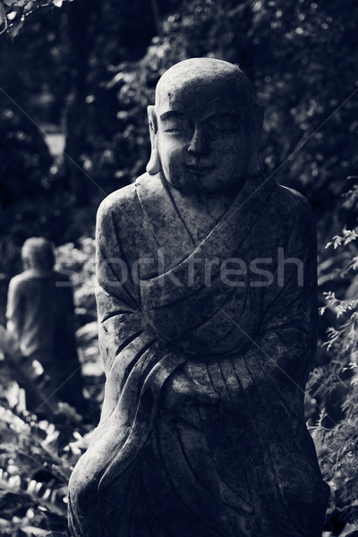 Posąg kamień niebieski roślin boga asian Zdjęcia stock © elwynn