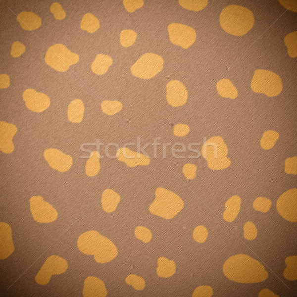 животного кожи текстуры мех место цвета Сток-фото © elwynn