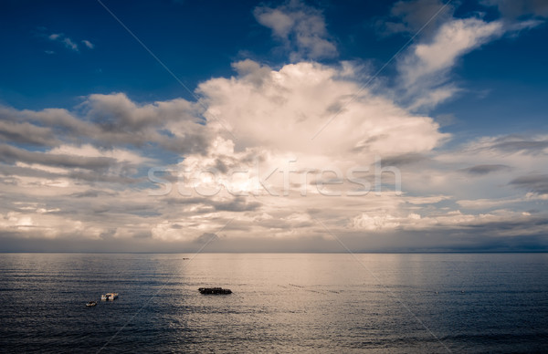 Working of fishing boat in ocean Stock photo © elwynn