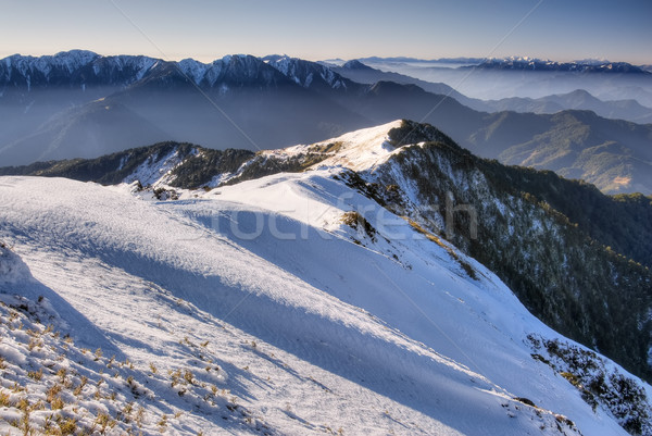 Landscape of mountain in winter Stock photo © elwynn