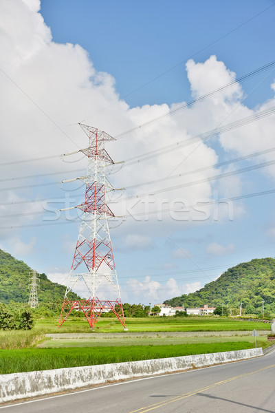 Power lines in countryside Stock photo © elwynn