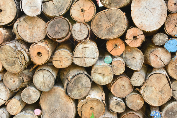 Pile of wood logs Stock photo © elwynn