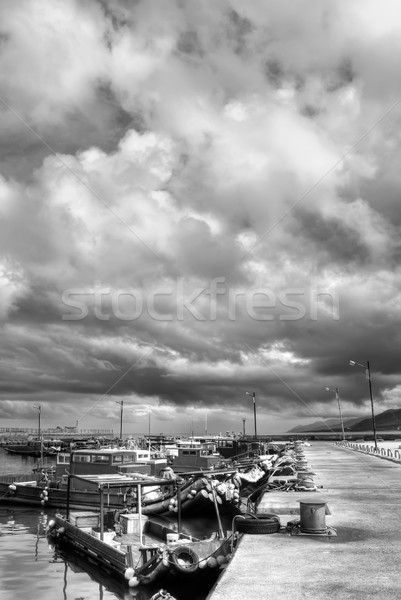 Dramatic landscape Stock photo © elwynn