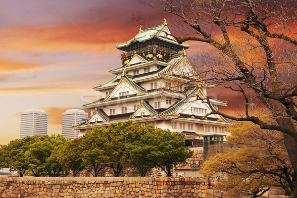 Osaka castle Stock photo © elwynn