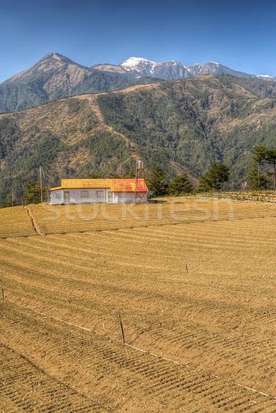 Rural scenery Stock photo © elwynn