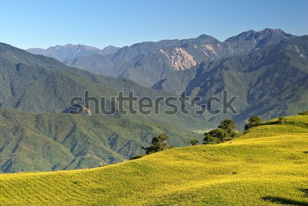 Mountain scenery Stock photo © elwynn