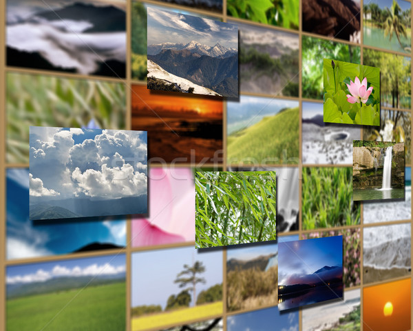 landscape collection Stock photo © elwynn