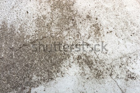 Ciment perete dur suprafata textură spaţiu Imagine de stoc © elwynn