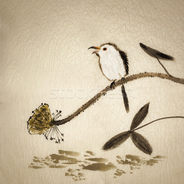 Foto stock: Chinês · tradicional · nosso · pintura · aves · flores