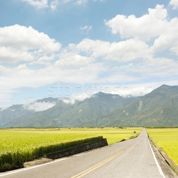 Road in rural Stock photo © elwynn