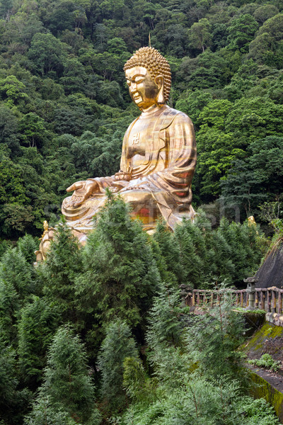巨人 銅 佛 雕像 射擊 寺廟 商業照片 © elwynn