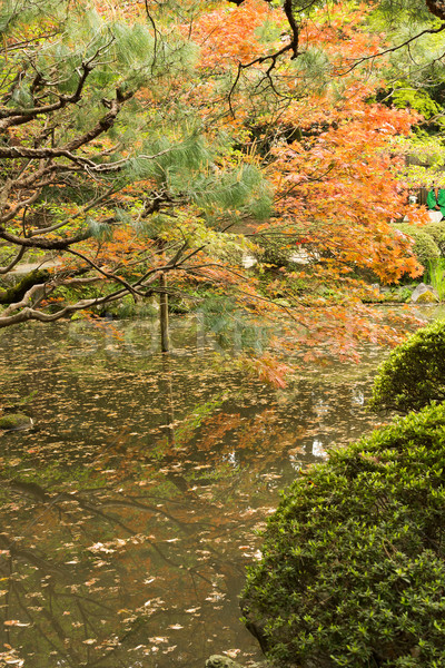 Rot Ufer Reflexion japanisch Garten Landschaft Stock foto © elwynn