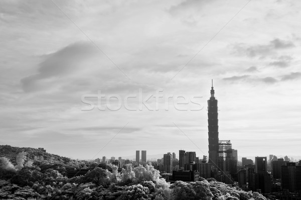 Cityscape 101 grattacielo drammatico nubi infrarossi Foto d'archivio © elwynn