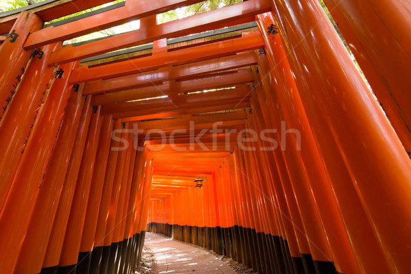 Fushimi Inari Taisha Stock photo © elwynn