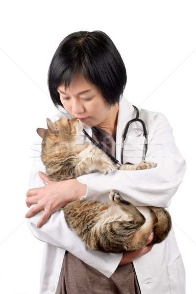 Animal doctor kiss cat Stock photo © elwynn